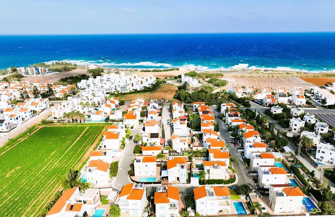 Villa Palm-1