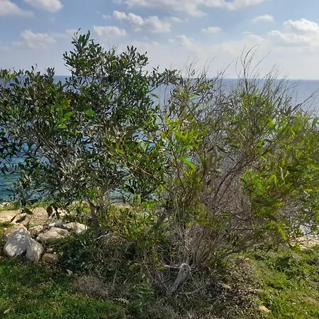 Marias Villa-2
