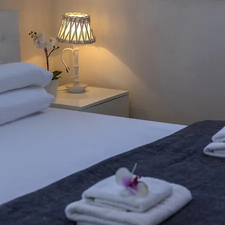 Aster Suite-3