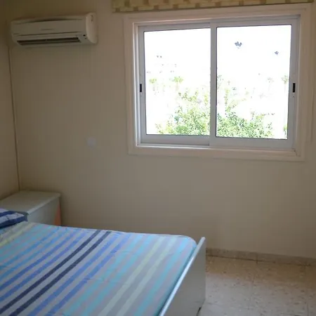 Cassa De Flamingo-2